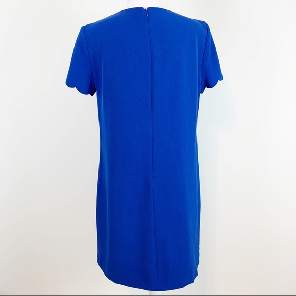 Tahari by ASL cap sleeve Scallop trim Shift Dress - Picture 4 of 8